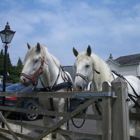Homelea Bed And Breakfast Canterbury Bagian luar foto
