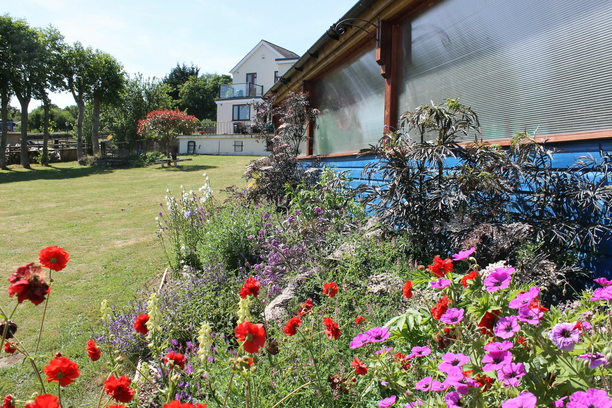 Homelea Bed And Breakfast Canterbury Bagian luar foto